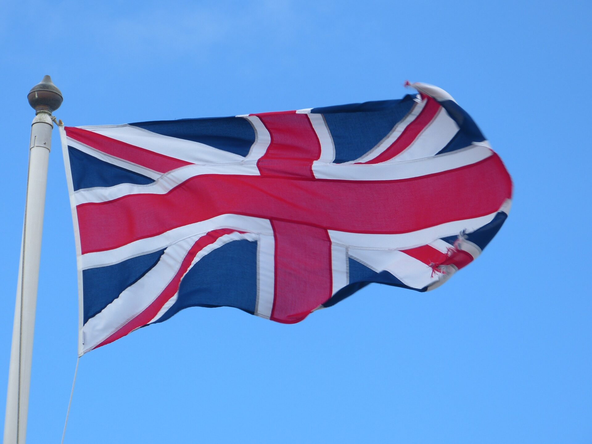 loggawiggler-flag-123562